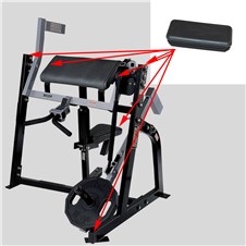 PLBI-Seated-Seated-Bicep-Curl-FWP281