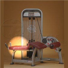 PR1408ProneLegCurlChest
