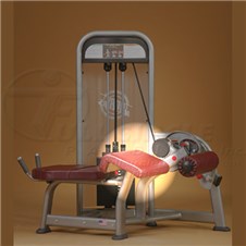 PR1408ProneLegCurlThigh