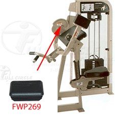 PSBCBicepCurlFWP2691