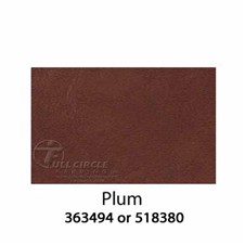 Plum2015