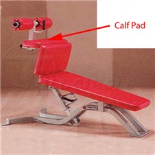 PowerPlusAbdominalboardCalf