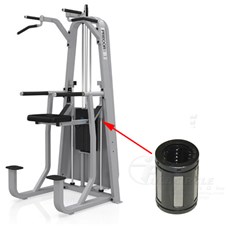 Precor10StationDipChinFW222B