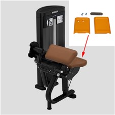 RSL0204-Bicep-Curl-PRE605-2