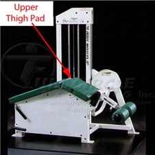 S108LegCurlUpperThigh