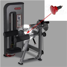 S4306-Deltoid-Raise-STAR304