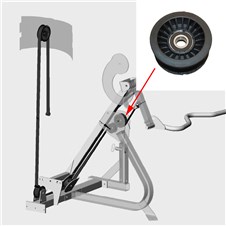 S8BC-Bicep-Curl-NA636P-Update