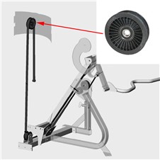 S8BC-Bicep-Curl-NA655P-Update