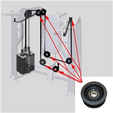 S9BC-Bicep-Curl-NA636P-Updated