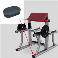 SAC-Arm-Curl-LF842-Update