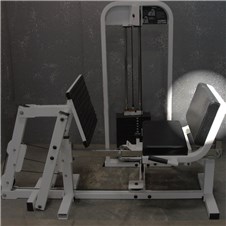 SF300LegPress1000Back
