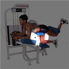 SL75GluteChest