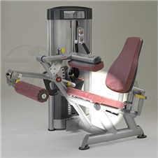 SP5100SeatedLegCurlSeat