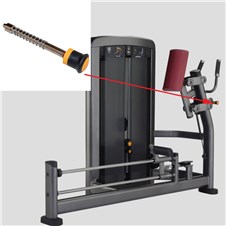 SSGL-Glute-LF146