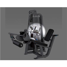 Seated_Leg_Curl_619_thigh