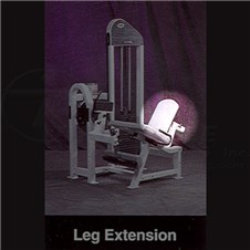Strivelegextx500Back