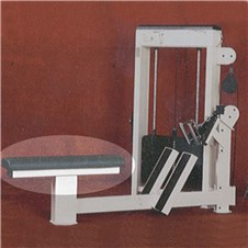 Trotter-Galileo-Low-Row-Bench