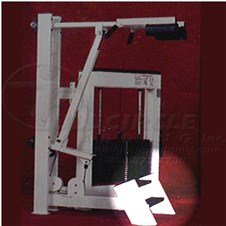 Trotter-Galileo-Standing-Calf-CYW135