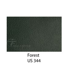 US344Forest