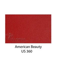 US360AmericanBeauty