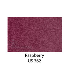 US362Raspberry