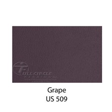 US509Grape1