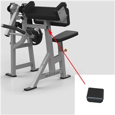 VY-431-02-Bicep-Curl-FWP282