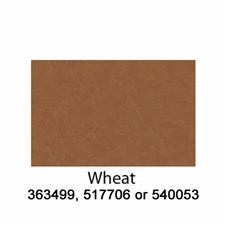 Wheat-540053-2022