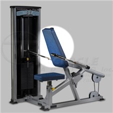 XL1500TricepPressdownBack