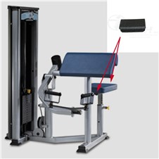 XL600-Bicep-Curl-FWP266