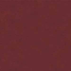 Cranberry_518711