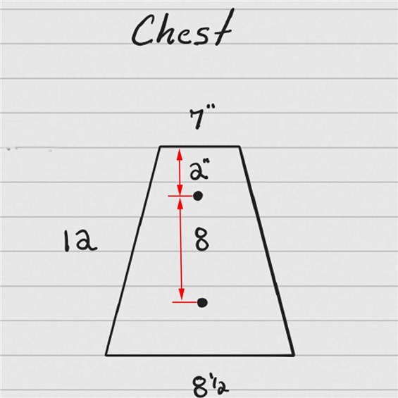 BM147-Chest-Pad-Diagram