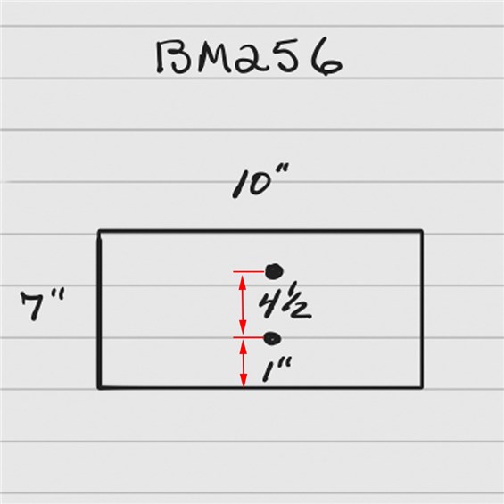 BM256-Low-Back-Diagram