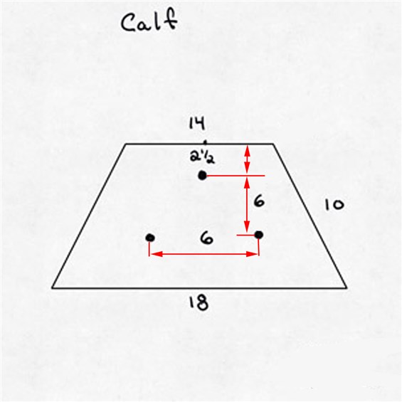 BM349-Calf-Pad-Diagram