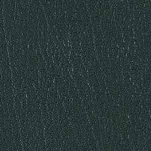 Hunter_Green_518779