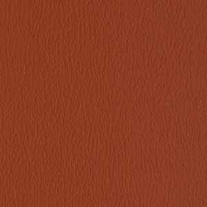 Mandarin_Orange_US372