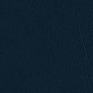 Navy_517920
