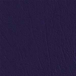 New-Purple-520053