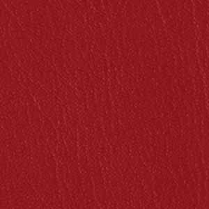 Tomato_518800
