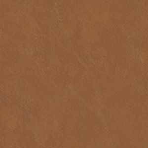Wheat_517706